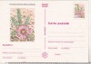 Bnk cp Cactusi - necirculata - marca fixa - 024/97