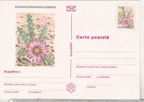 bnk cp Cactusi - necirculata - marca fixa - 024/97