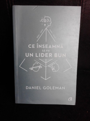 Ce inseamna sa fii un lider bun - Daniel Goleman foto