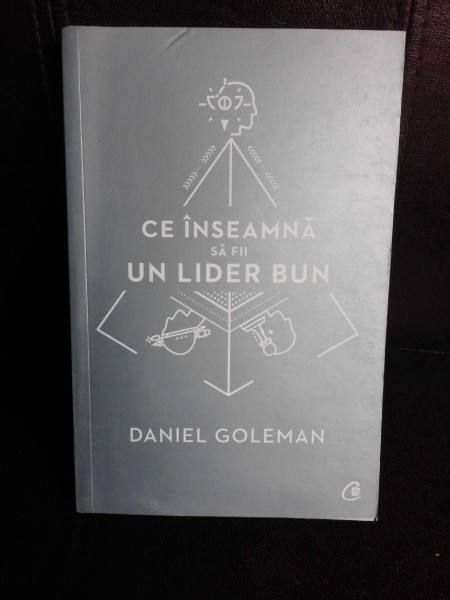 Ce inseamna sa fii un lider bun - Daniel Goleman