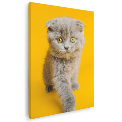 Tablou pisica gri cu ochi galbeni pisici Tablou canvas pe panza CU RAMA 40x60 cm foto