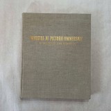 Maestrii ai picturii universale in muzeele din Romania
