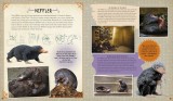 J.K. Rowling&#039;s Wizarding World | Ramin Zahed