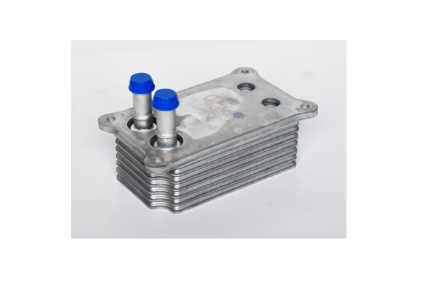 Radiator Ulei 151802 73385