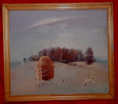 AUTUMNAL. Tabara Crivaia 1985. Pictor: Oprea foto