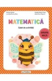 Caiet Activitati Matematica Grupa Mica Autori: Hamza, Micu, Plesa, Popovici - Carti Educative Copii