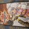 Dvd copii Bakugan