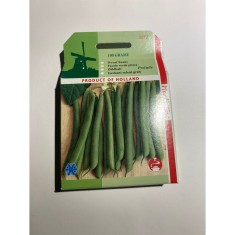Seminte Fasole Pitica Verde Prelude 100 g.