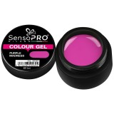 Cumpara ieftin Gel UV Colorat Purple Madness 5ml, SensoPRO Milano