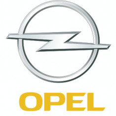 Piston Oe Opel 96567384