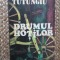 Drumul hotilor vol.1 de Paul Tutungiu