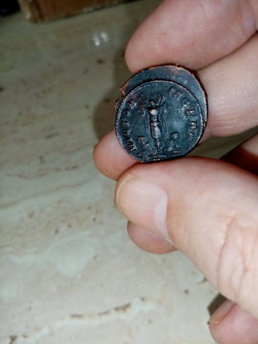 Lot 5 monede autentice Imp roman, antoninianus, imp Probus, 276-282 e.n, bronz
