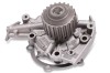 HEPU P799 Pompă de apă, răcire motor