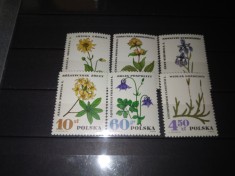 TIMBRE POLONIA FLORI 1967 foto