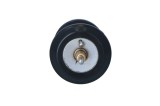 NRF 725250 termostat,lichid racire