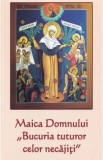 Icoana Maica Domnului "Bucuria tuturor celor necajiti" - Carte Religioasa Ortodoxa