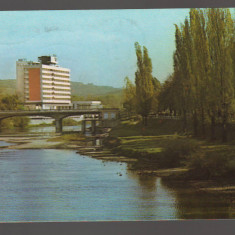 CPIB 20751 CARTE POSTALA - ORADEA. VEDERE DE PE CRISUL REPEDE, POD