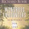 Wondrous Encounters: Scripture for Lent