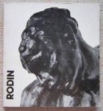 George Popa - Rodin