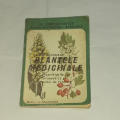 GR.CONSTANTINESCU\ELENA HATIEGANU - SA NE CUNOASTEM PLANTELE MEDICINALE