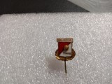 Insigna Gloria Timisoara
