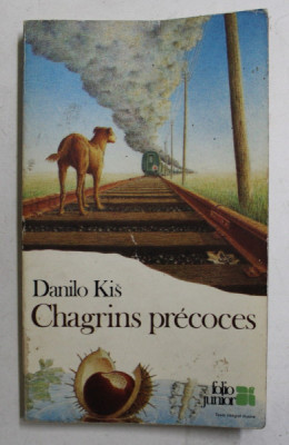 CHAGRINS PRECOCES par DANILO KIS , 1984 foto