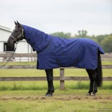 vidaXL Pătură pentru cai Verde &icirc;nchis și negru 145 cm Poliester 42013124