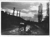 P3059N Peisaj rural cu căruță trasă de cai pe drum noroios pe vreme ploioasă