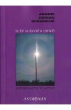 Nu tot ce zboara e cometa - Andrei Dorian Gheorghe