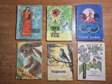 Lot 6 carticele pentru copii - din anii &#039;60