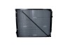 NRF 519576 Radiator, racire motor