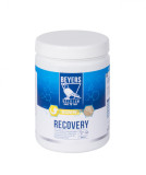 Recovery BEY 600g