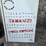 Samanizii si poezia neopersana - Viorel Olaru