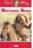 Mustangul negru