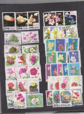 KOREA NORD LOT 45 TIMBRE FLORA STAMPILATE foto