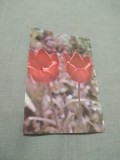 Cumpara ieftin CARTE POSTALA --FELICITARE CIRCULATA