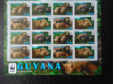 Guyana-Fauna wwf -kleinbogen-nestampilat