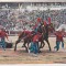 bnk cp Corrida de toros - Arrastre del toro - necirculata
