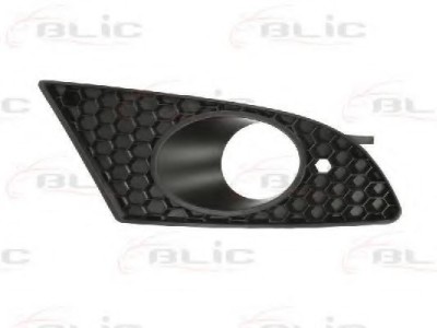 Grila ventilatie, bara protectie SEAT LEON (1P1) (2005 - 2012) BLIC 6502-07-6613994P foto