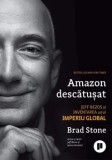 Cumpara ieftin Amazon descatusat. Jeff Bezos si inventarea unui imperiu global/Brad Stone, Publica