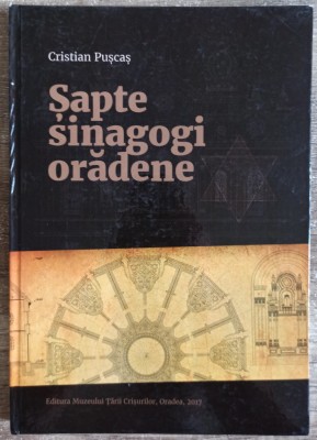 Sapte sinagogi oradene - Cristian Puscas foto