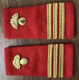 C2 4 - Grade militare - capitan infanterie - semne arma aurii - piesa de colectie!