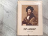 Renasterea de Andrei Otetea