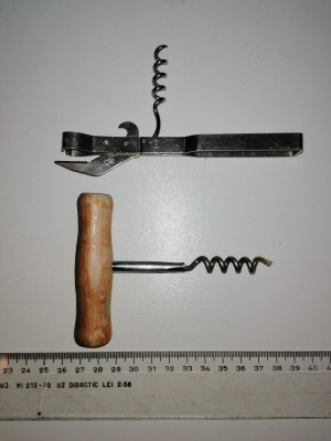 LOT 2 TIRBUSON / TIRBUSOANE VECHI foto