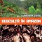 Desculţă &icirc;n Amazon