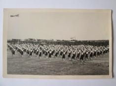 Fotografie colectie 140x90 mm cu străjerițe la defilare/paradă stadion anii 30