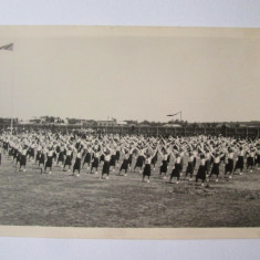 Fotografie colectie 140x90 mm cu străjerițe la defilare/paradă stadion anii 30