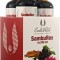 Pachet Samburex 3+1 Gratuit Supliment Alimentar pentru Imunitate (4 x 240 ml) - Calivita