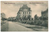 SV * CAREI * CALEA VICTORIEI * 1928, Circulata, Necirculata, Fotografie, Printata, Oituz