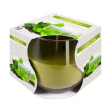 Lumanare parfumata bispol cu pahar tip bol - green tea, Stonemania Bijou